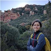 Profesora de inglés nativa, ofrezco clases online y presencial